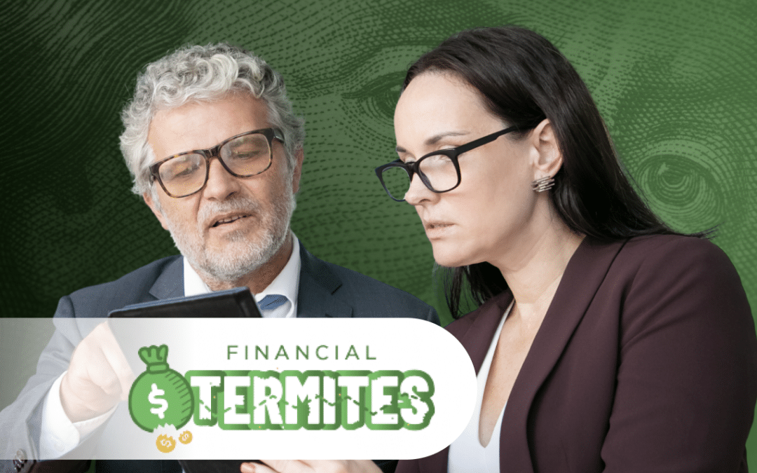 Financial Termites